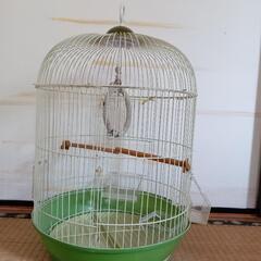 鳥かご