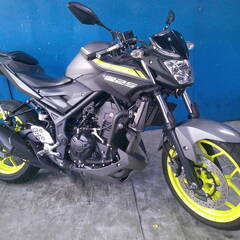 YAMAHA MT-25 グレー エンジン始動動画 自賠責保険で...