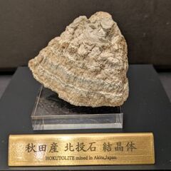 ★秋田発『北投石』２３２グラム 100%本物!! 秋田玉川温泉産...