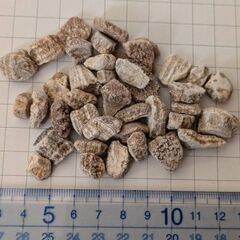 ★秋田発『北投石』１００ｇ　100%本物!! 秋田玉川温泉産 放射線量測定済の画像