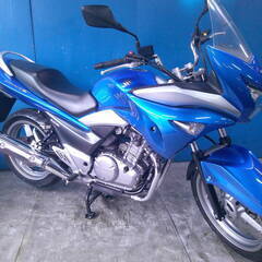 SUZUKI GSR250S 青 エンジン始動動画 自賠責保険で...