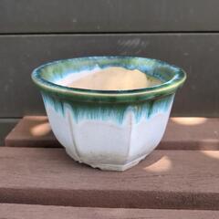 盆栽鉢