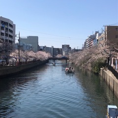🌸散歩友達募集🌸
