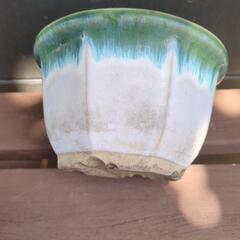 盆栽鉢の画像