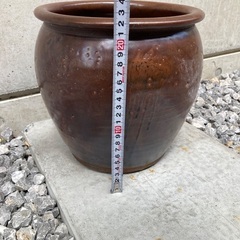 瓶⭐︎壺⭐︎睡蓮鉢⭐︎メダカ⭐︎庭の画像
