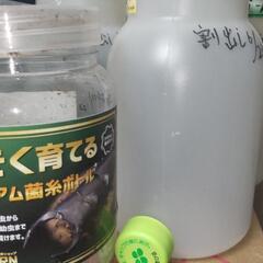 お引取り希望クワガタ幼虫飼育ボトル