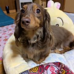 本当に可愛がってくださる方限定