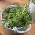 ランキングキーワードに紐づく投稿画像-観葉植物