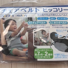 チェアベルト　ヒッコリーの画像