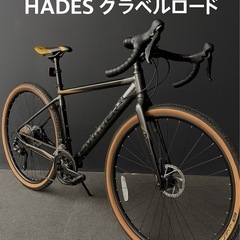 【美品】 PANTHER HADES グラベル2×9段変速／ディ...