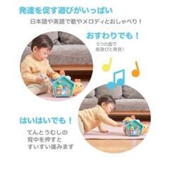 フィッシャープライス　バイリンガルでんでんむしの画像
