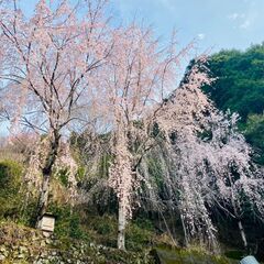 友達欲しいです