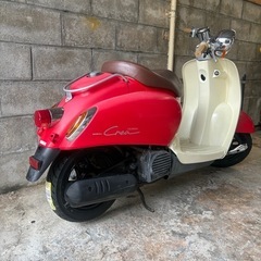 HONDA  ジョルノクレアの画像