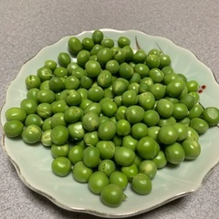 グリンピース（えんどう豆）　150g