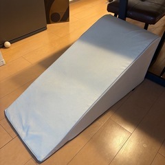 【急募⭐️無料】ペットスロープ　子ども