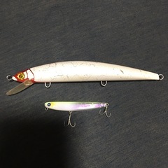 DUEL‼️aile MAGNET 3G MINNOW 145F...