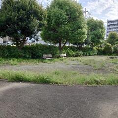 【問い合わせ多数のため一時中断】集合住宅の草むしりお願いで…