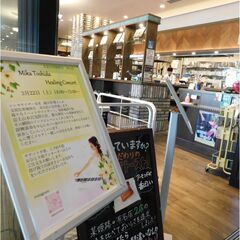 ♪歳田彩雅 カフェ コンサートのお知らせ（支留比亜珈琲店 金山店）♪ - コンサート/ショー