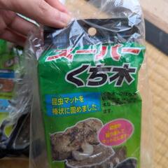 クワガタ　カブトムシ用　産卵木　クチ木の画像