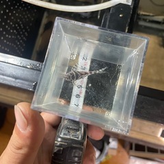 熱帯魚　キンペコ　キングロイヤルペコルティア　の画像