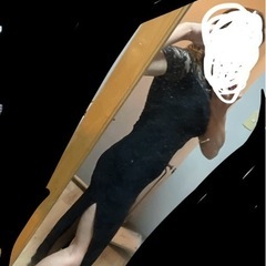 チャイナドレス ロングの画像