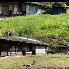 草刈り請負します