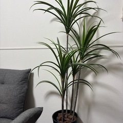 人工観葉植物