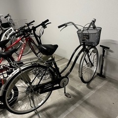 自転車 AGENDA アジェンダ