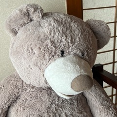くまのぬいぐるみの画像