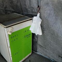 袋詰め放題岐阜県産タケノコ淡竹よりの画像