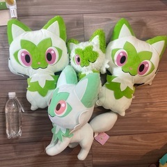 ニャオハ　セット売り