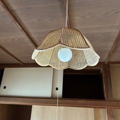 でんきのカサ。