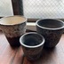 ランキングキーワードに紐づく投稿画像-観葉植物