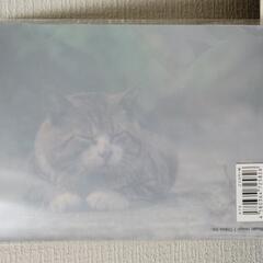 新品 猫のミニクリアファイルの画像