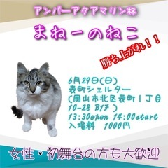 アンバーアクアマリン杯　まねーのねこ 【お笑いライブ】