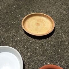 鉢受け皿　13枚の画像
