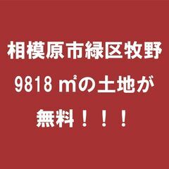 相模原市緑区牧野の土地9818平方メートルが無料
