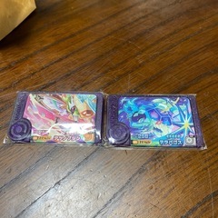ポケモン　フレンダ　テラパゴス　テツノフジン