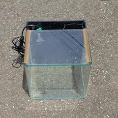 水槽の画像