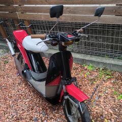 旧車　パッソーラ　DIO