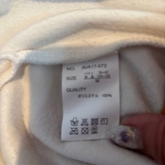 ベロアTシャツ Msize
の画像