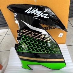 Ninja250 2020年式 左サイドカウル