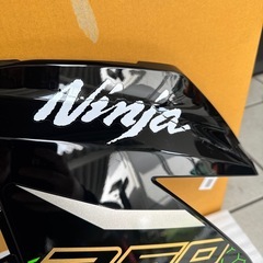 Ninja250 2020年式 左サイドカウルの画像