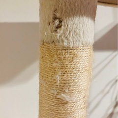 キャットタワーの画像