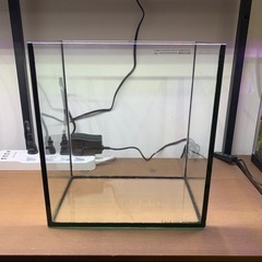 25cm ガラス水槽