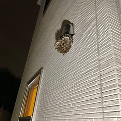 【蜂の巣駆除はプロにお任せください！】 