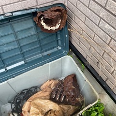 【蜂の巣駆除はプロにお任せください！】  - 横浜市