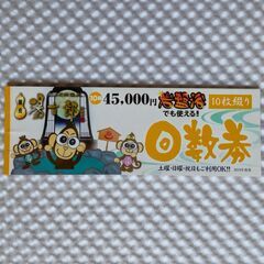 太閤天然温泉　とうきちろう　入泉券