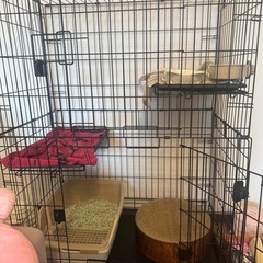 猫のケージ の画像