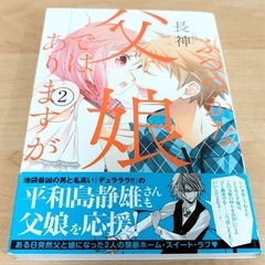 少女漫画　ふつつかな父娘ではありますが②